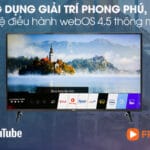 Tủ đông đứng Alaska 210 lít IF-215