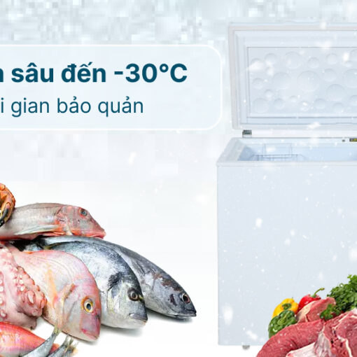 Tủ đông mát Inverter Aqua 295 lít AQF-C4202E