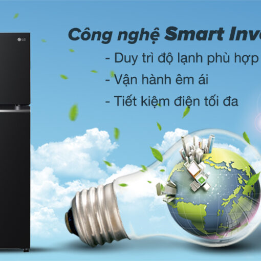 Tủ lạnh LG Inverter 292 lít T30SV
