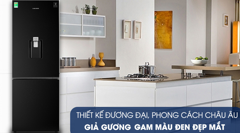 Tủ Lạnh Samsung Inverter 307L RB-30N4190BU/SV 