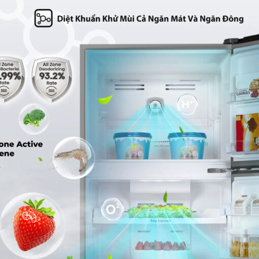 Tủ Lạnh Hisense Inverter 205L RT256N4EBN