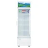 Tủ Mát Sanaky Inverter 240 Lít VH-2589K3