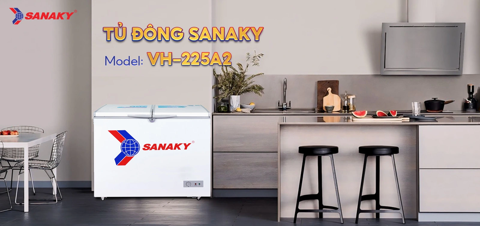 Tủ đông Sanaky 175 lít VH-225A2