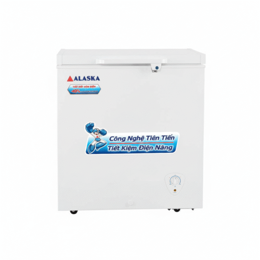 Tủ đông Alaska 300 lít BD-300
