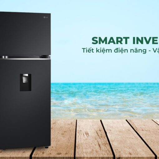 Tủ Lạnh LG Inverter 374 Lít LTD37BLM