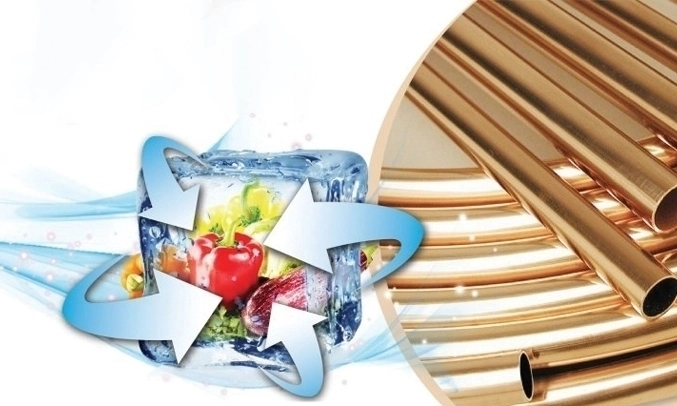 Tủ đông Alaska 205 lít BD-300C Tủ đông Alaska 205 lít BD-300C