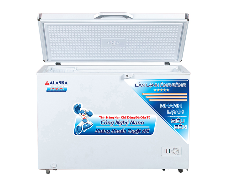 Tủ đông Alaska 295 lít BD-400C