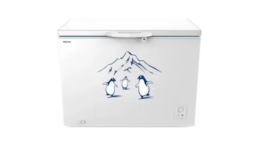 Tủ đông Hisense 300 lít FC380D4EWC1