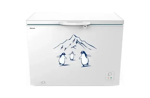 Tủ đông Hisense 300 lít FC380D4EWC1