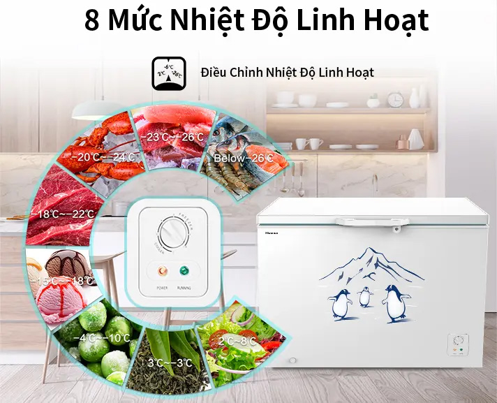 Tủ đông Hisense 420 lít FC520D4EWC1
