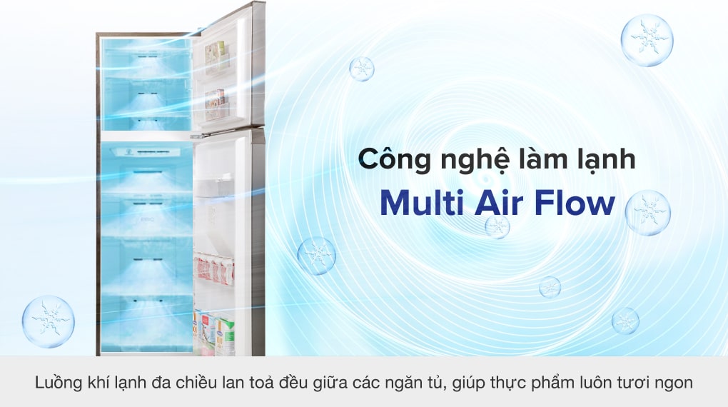 Tủ Lạnh Toshiba Inverter 249 Lít GR-RT325WE-PMV(06)-MG