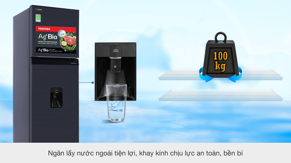 Tủ Lạnh Toshiba Inverter 249 Lít GR-RT325WE-PMV(06)-MG