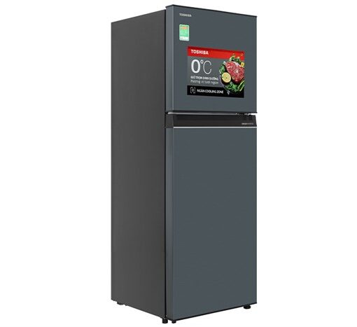 Tủ Lạnh Toshiba Inverter 253 Lít GR-RT329WE-PMV(52)