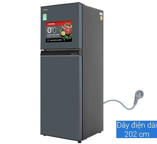 Tủ Lạnh Toshiba Inverter 253 Lít GR-RT329WE-PMV(52)