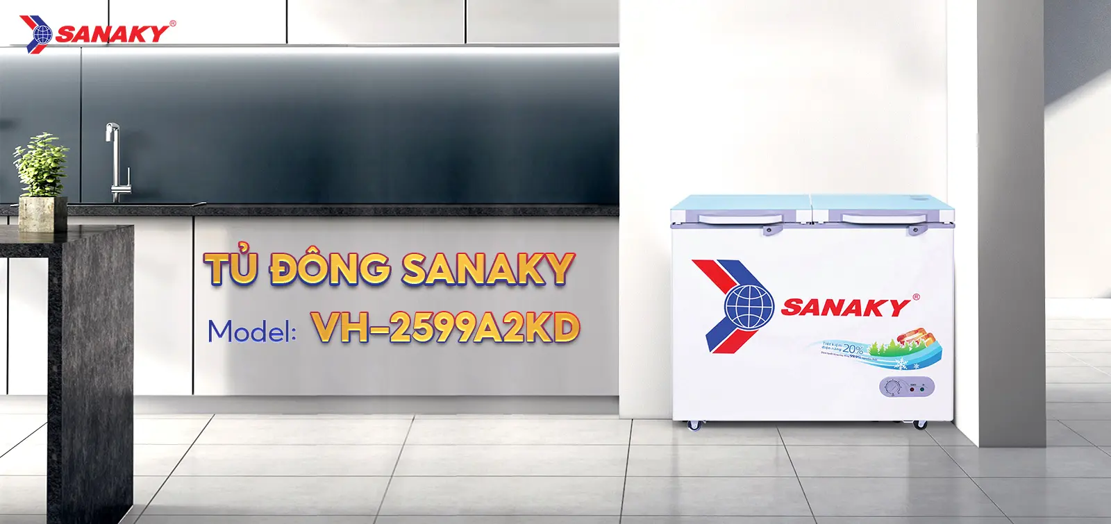 Tủ đông Sanaky 208 lít VH-2599A2KD