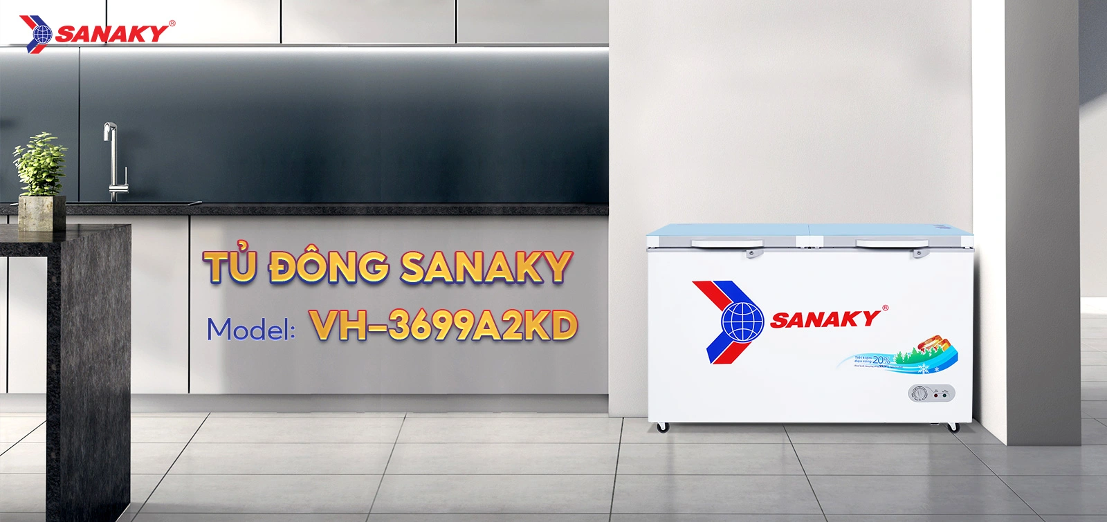 Tủ đông Sanaky 270 lít VH-3699A2KD
