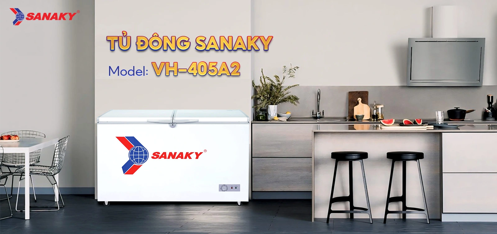 Tủ đông Sanaky 400 lít VH-405A2
