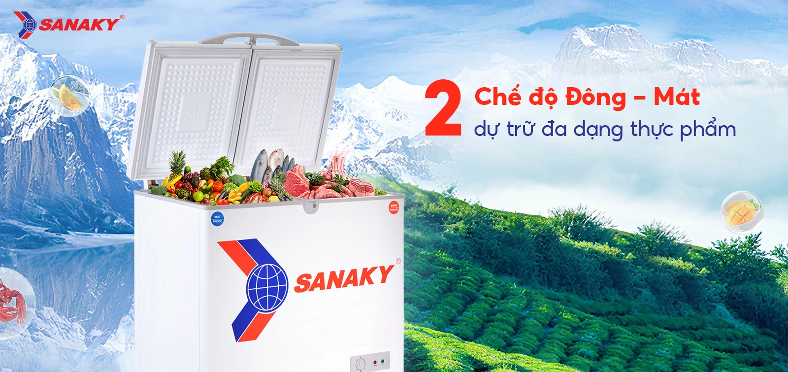 Tủ đông mát Sanaky 195 lít VH-255W2