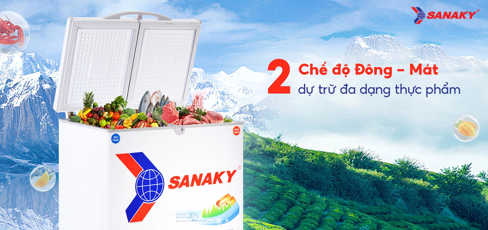 Tủ đông mát Sanaky 195 lít VH-2599W1