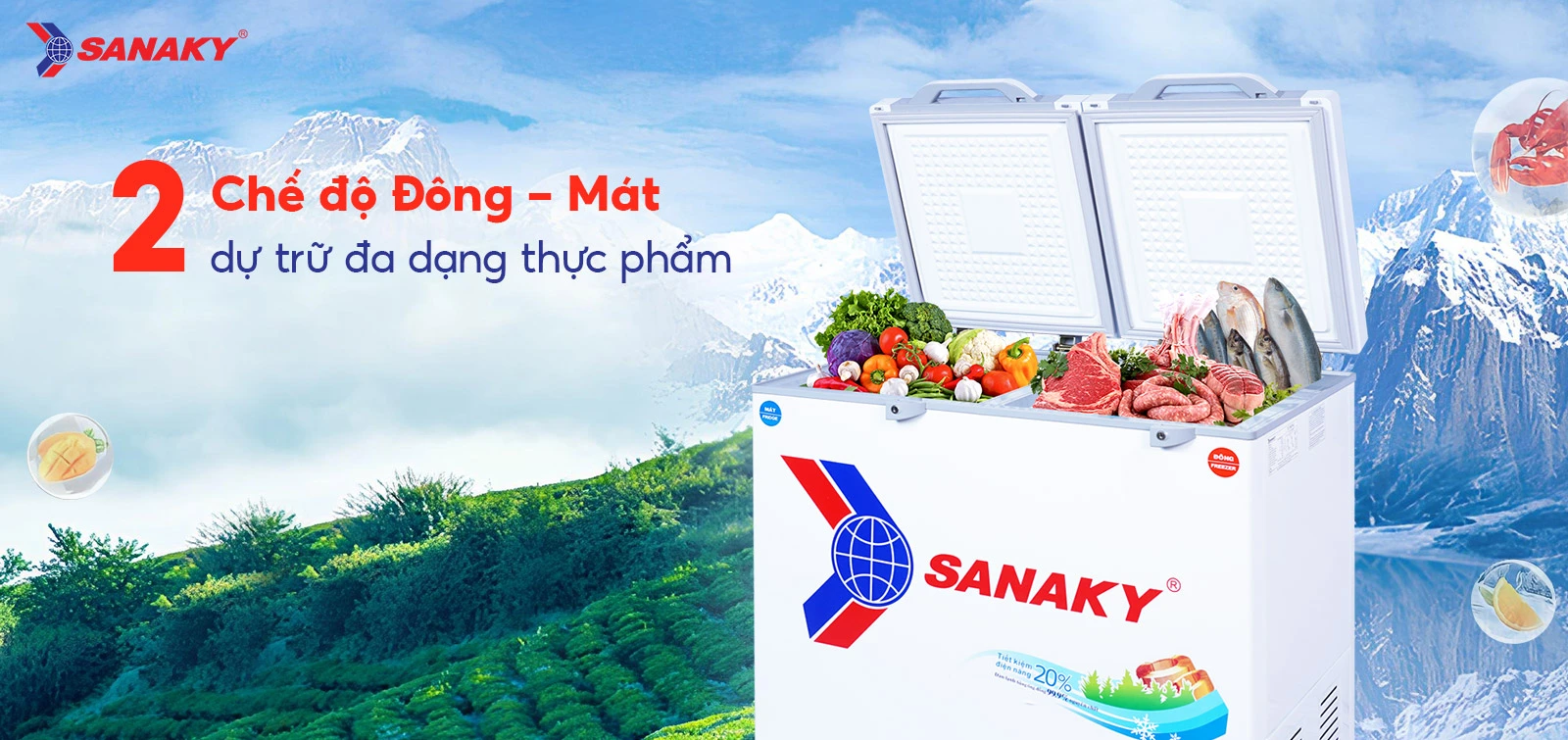 Tủ đông mát Sanaky 195 lít VH-2599W2KD Tủ đông mát Sanaky 195 lít VH-2599W2KD