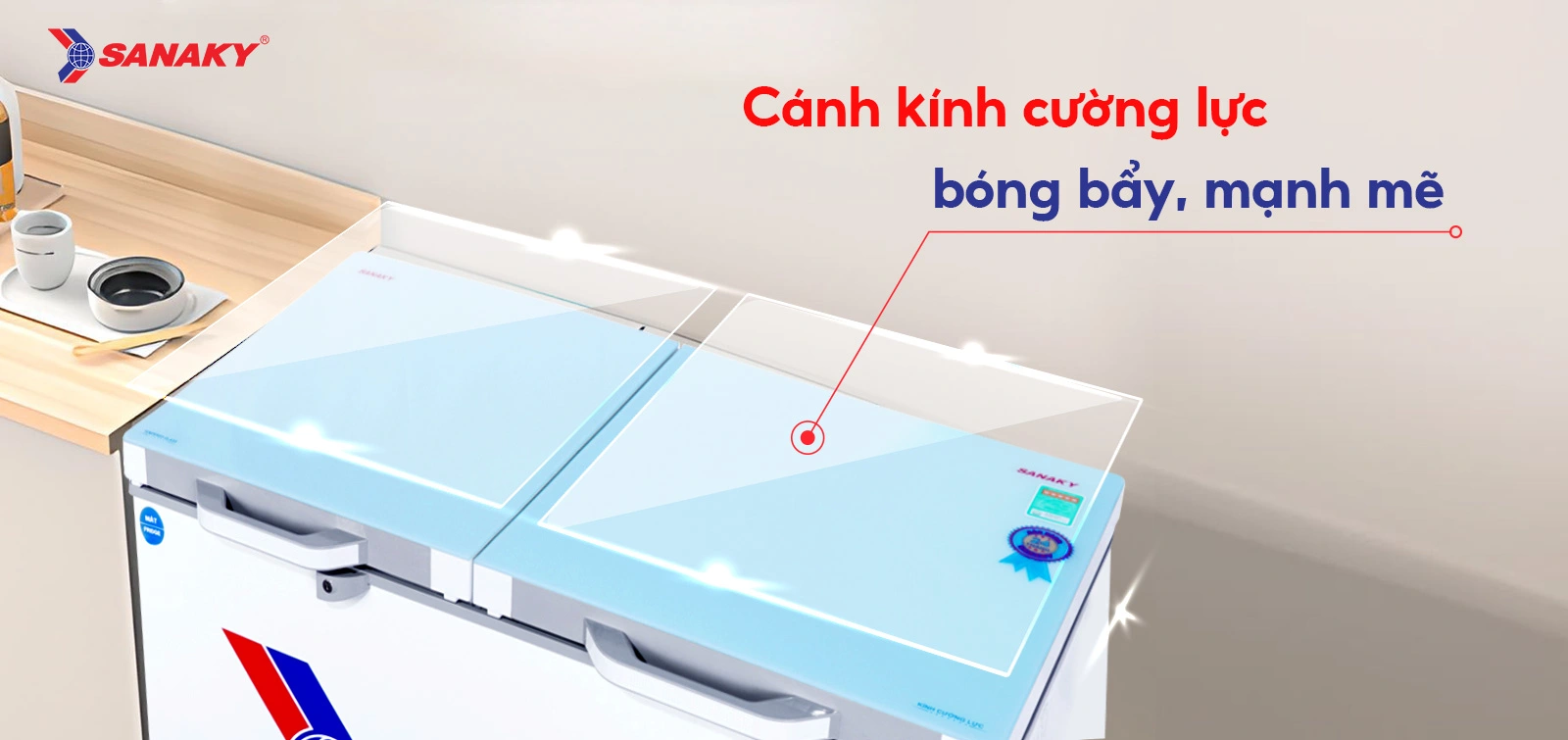 Tủ đông mát Sanaky 195 lít VH-2599W2KD Tủ đông mát Sanaky 195 lít VH-2599W2KD