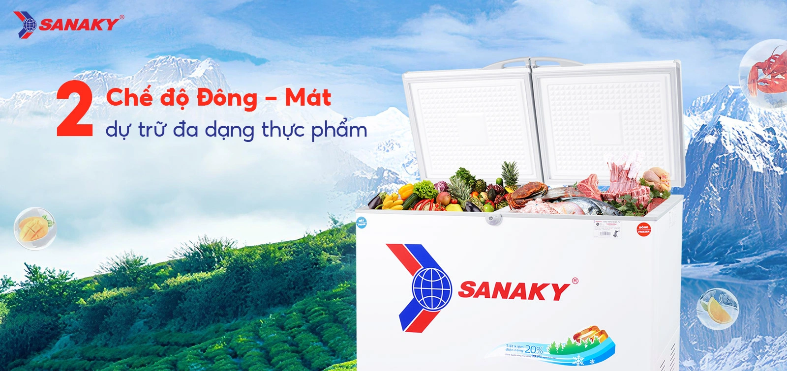 Tủ đông mát Sanaky 280 lít VH-4099W1