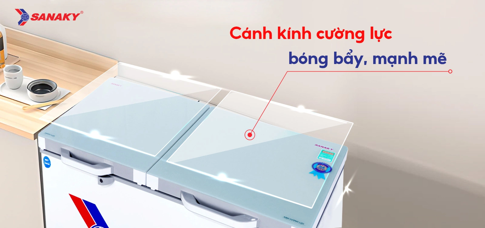 Tủ đông mát Sanaky 280 lít VH-4099W4K Tủ đông mát Sanaky 280 lít VH-4099W4K