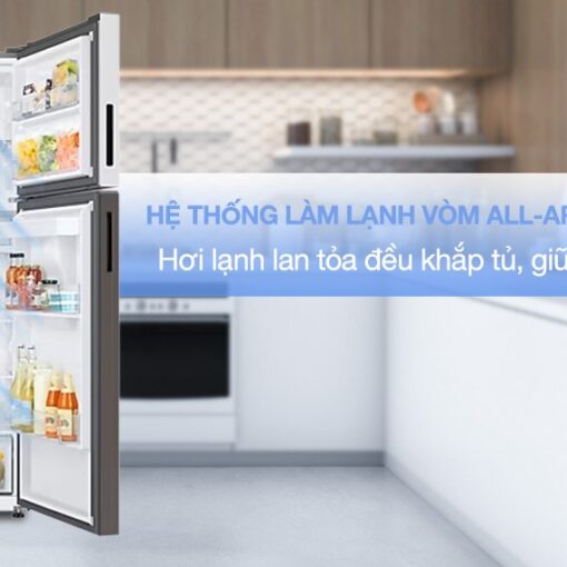 Tủ lạnh Samsung Inverter 460 lít RT47CB66868ASV