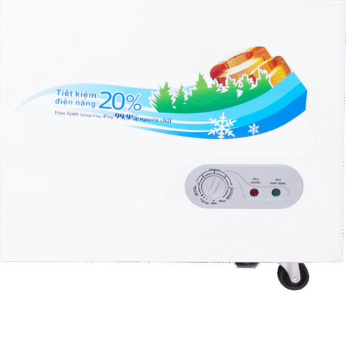 Tủ Đông Sanaky 1100 Lít VH-1199HYK