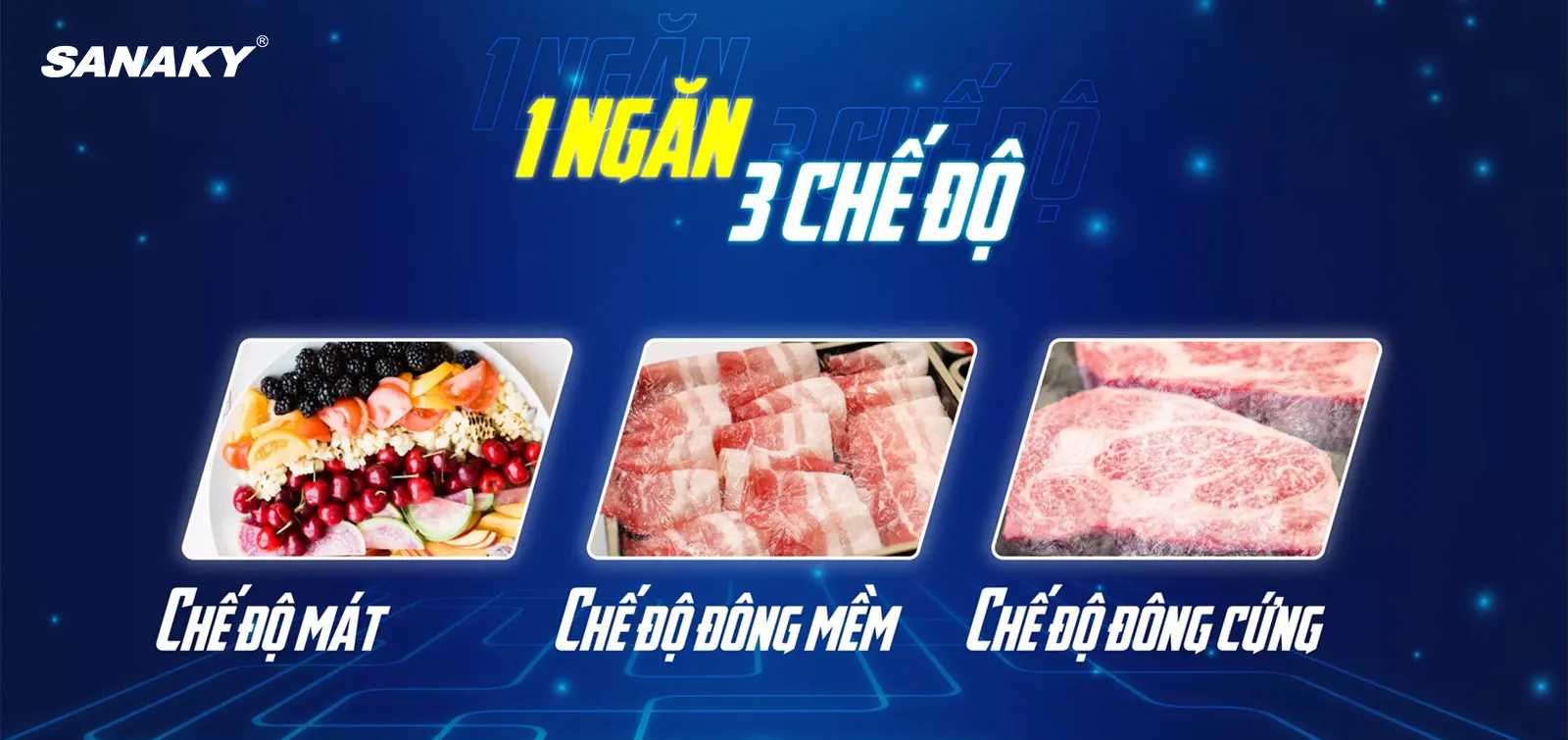 Tủ Đông Sanaky 1143.5 lít VH-1399HYK