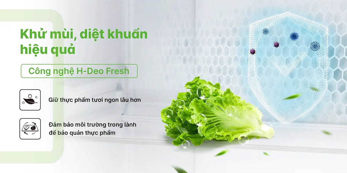 Tủ lạnh Aqua Inverter 469 lít AQR-M560XA(GL)