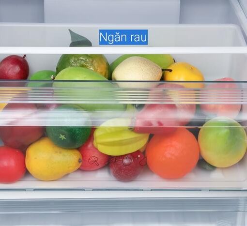 Tủ lạnh Panasonic Inverter 251 lít NR-SP275CPAV