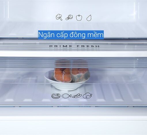 Tủ lạnh Panasonic Inverter 255 lít NR-BV281BGMV