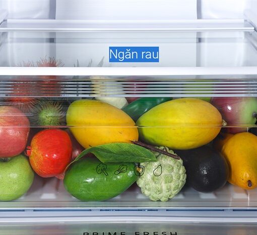 Tủ lạnh Panasonic Inverter 255 lít NR-BV281BGMV