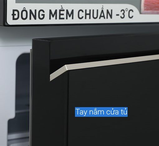 Tủ lạnh Panasonic Inverter 255 lít NR-BV281BGMV