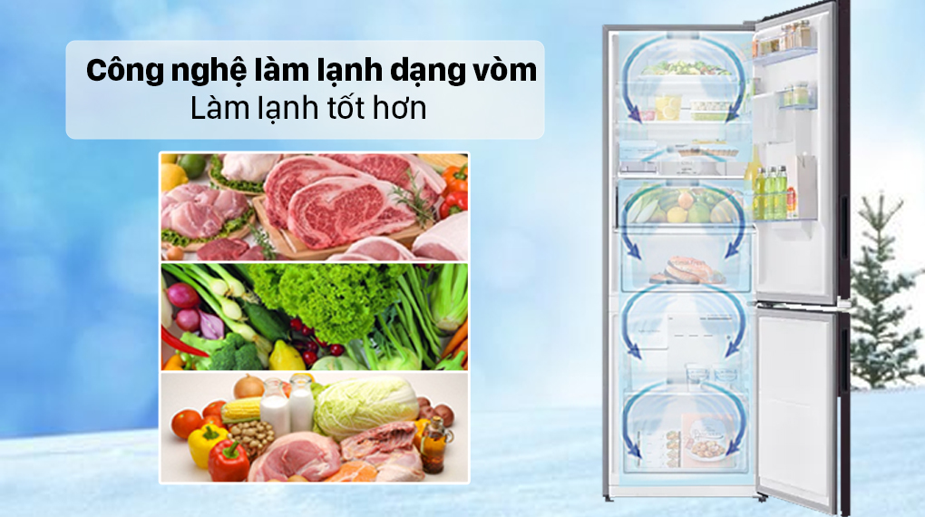 Tủ lạnh Samsung Inverter 307 Lít RB30N4190BY