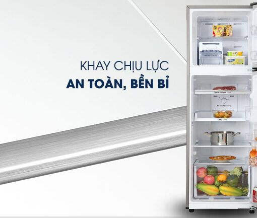 Tủ lạnh Samsung Inverter 256 Lít RT25M4032BU/SV