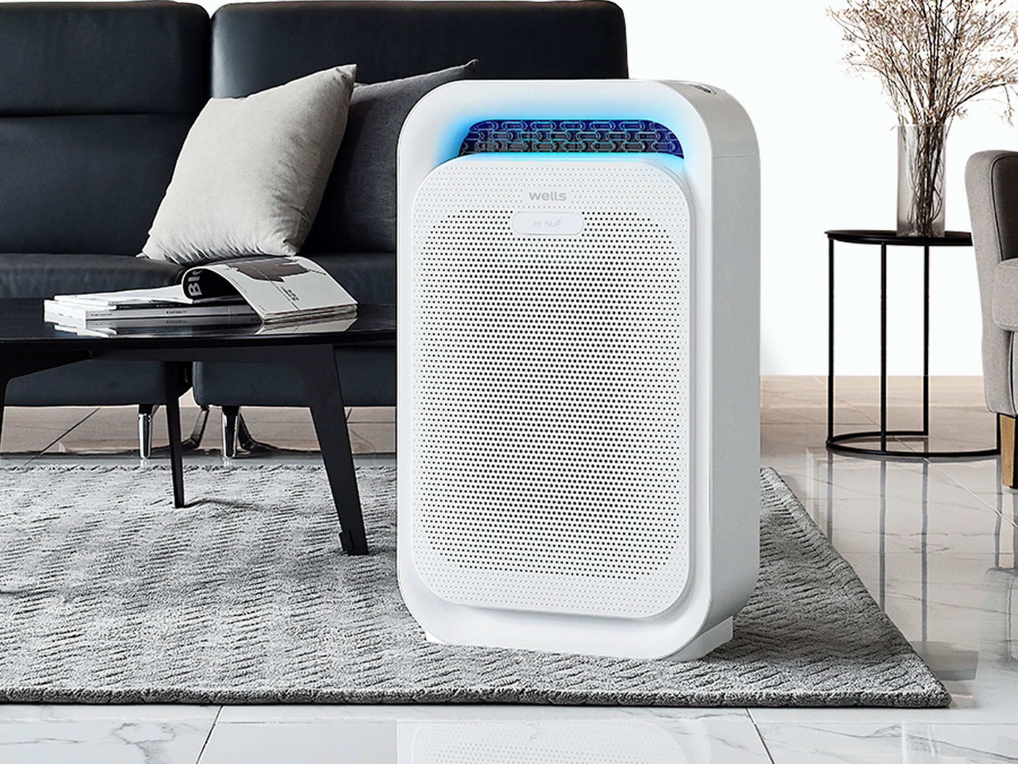 Máy lọc không khí Wells Jet Blue