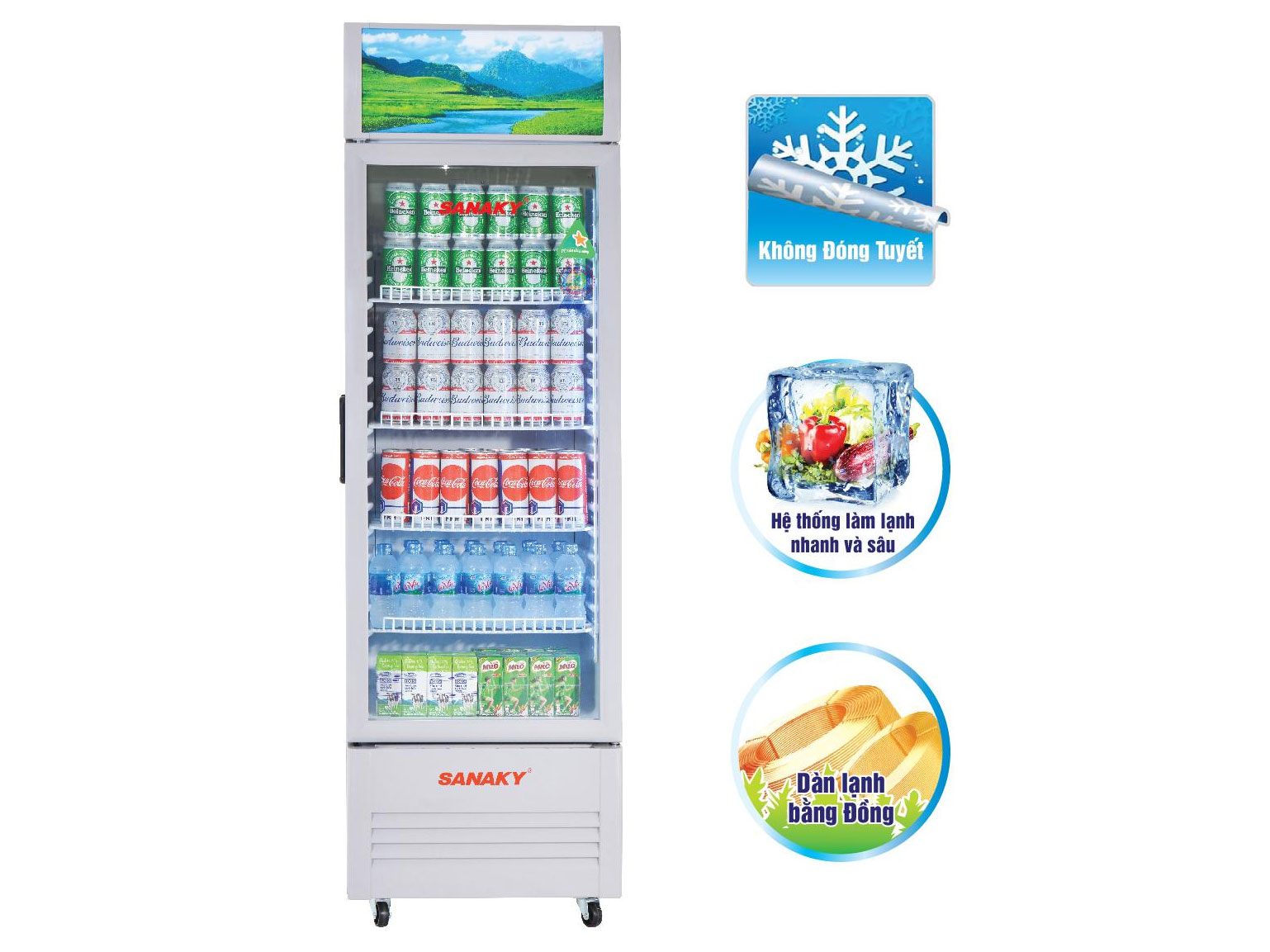 Tủ mát Sanaky 200 lít VH-259KL