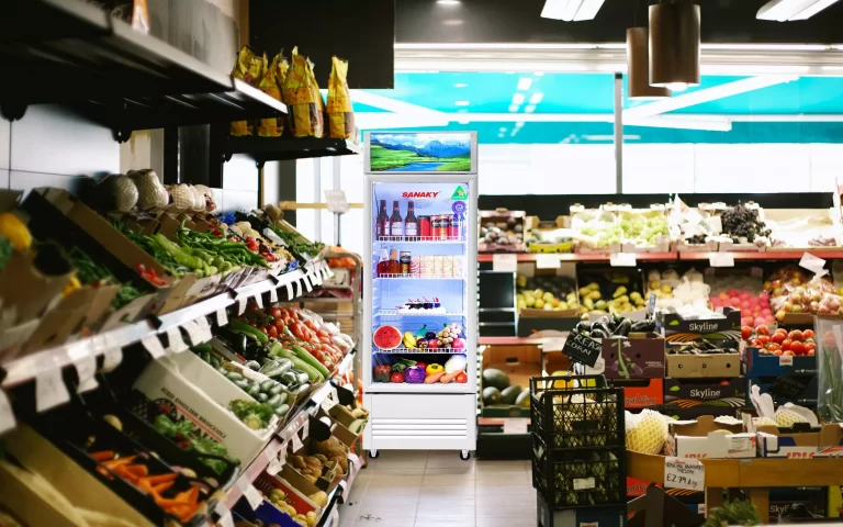 Tủ mát Sanaky 480 lít VH-5089K