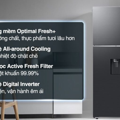 Tủ Lạnh Samsung Inverter RT42CG6584B1SV