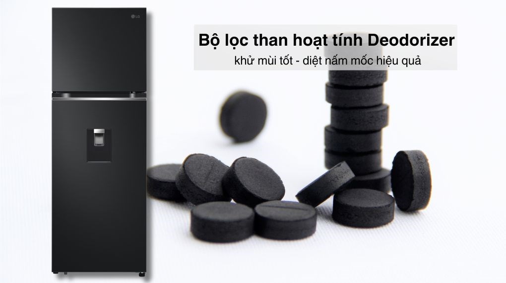 Tủ lạnh LG Inverter 314 lít LTD31BLM