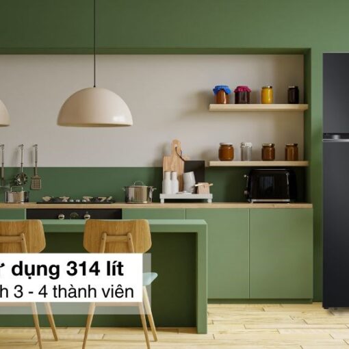 Tủ lạnh LG Inverter 314 lít LTD31BLM