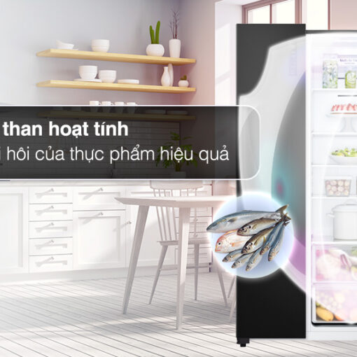 Tủ lạnh LG Side By Side 519 lít GR-B256BL