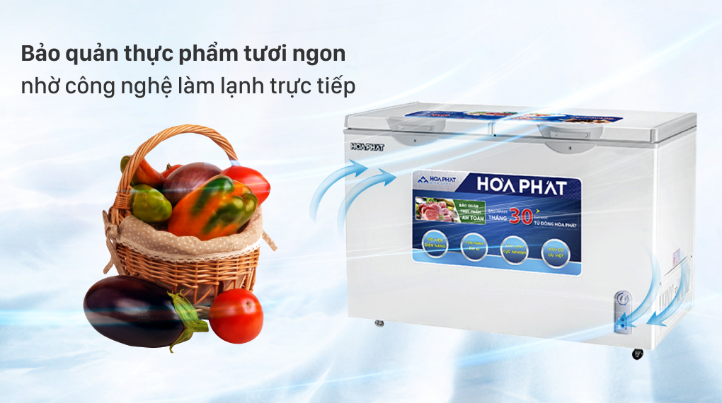 Tủ đông Hòa Phát 352 lít HCF-666S1Đ2