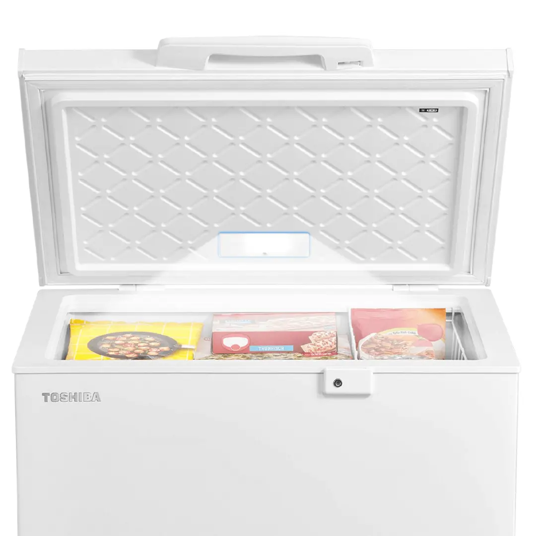 Tủ đông Toshiba Inverter 293 lít GR-RC390CM-PMV(01)