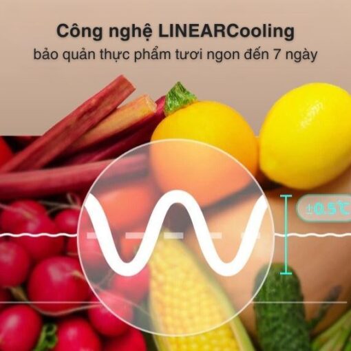 Tủ lạnh LG Inverter 217 lít- LTB21BLMDI