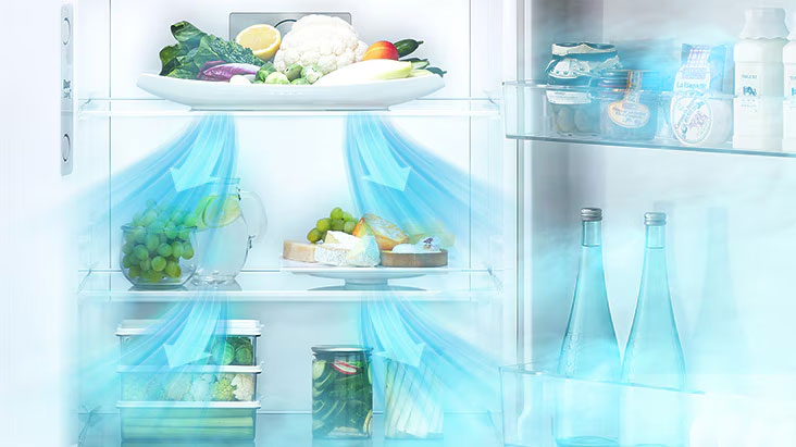 Tủ lạnh LG Inverter 217 lít- LTB21BLMDI