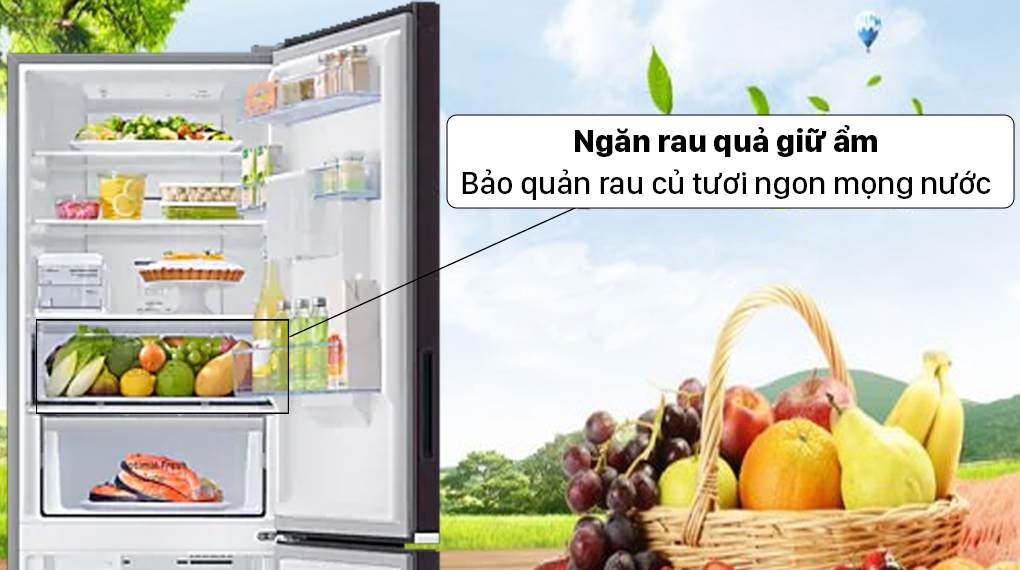 Tủ lạnh Samsung Inverter 308 lít RB30N4190BY Tủ lạnh Samsung Inverter 308 lít RB30N4190BY