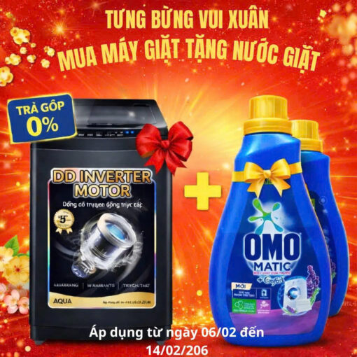 Máy giặt Aqua Inverter 10 kg AWM10-B316LB